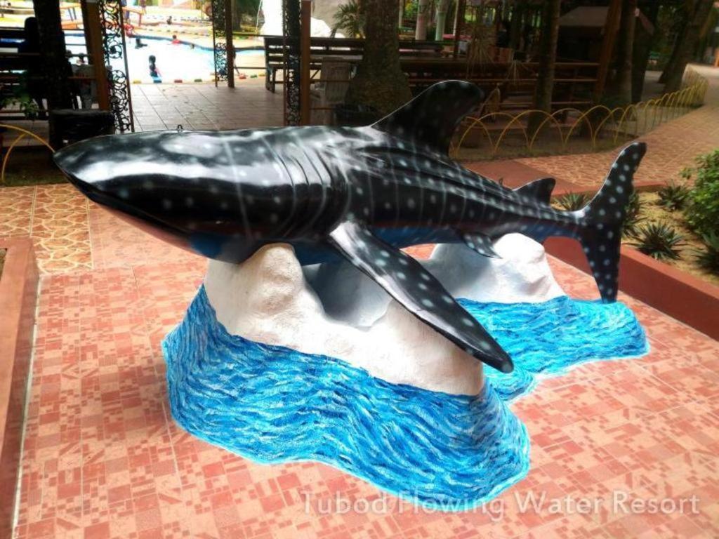 Tubod Flowing Water Resort Minglanilla Екстер'єр фото
